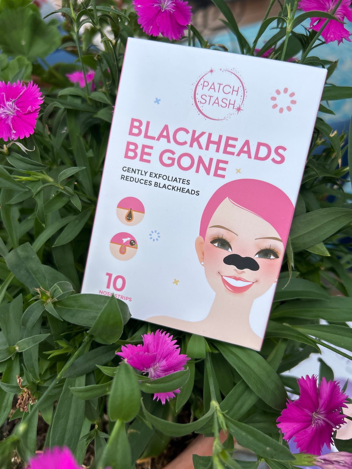 Blackheads Be Gone (10 Nose Strips)