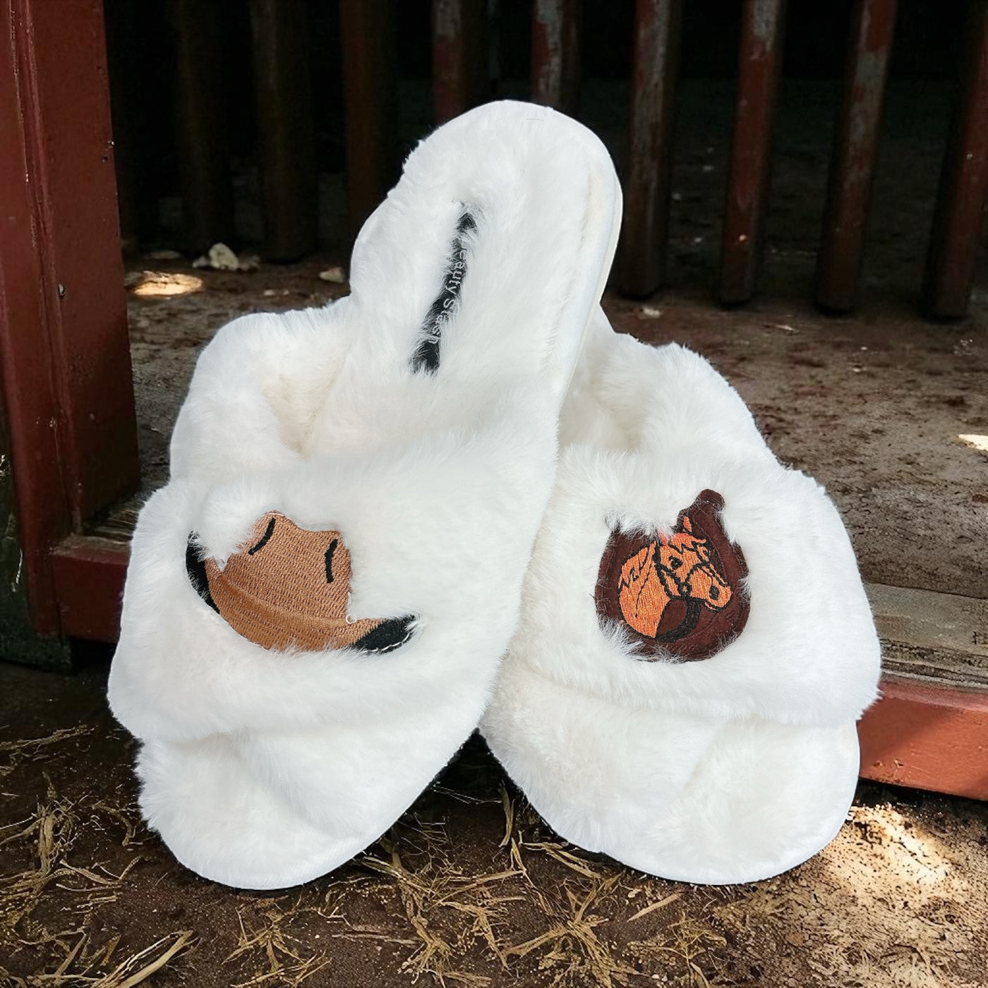 Cozy Slippers, Nov 5